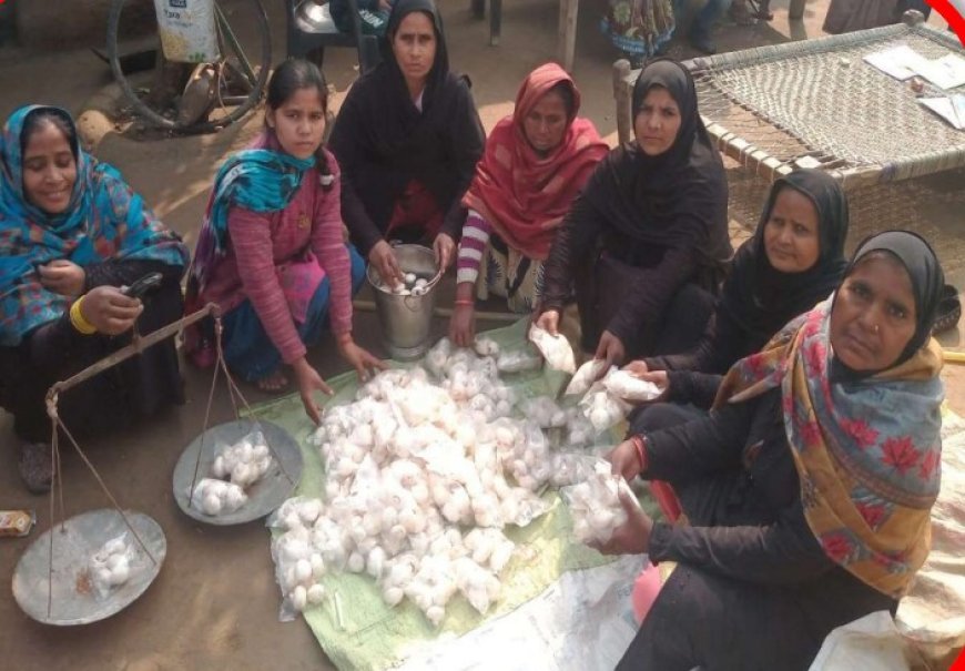 Lucknow : मिशन शक्ति- 5.0 - शाहजहांपुर की नेहा कश्यप ने मशरूम खेती से रचा स्वावलंबन का कीर्तिमान 