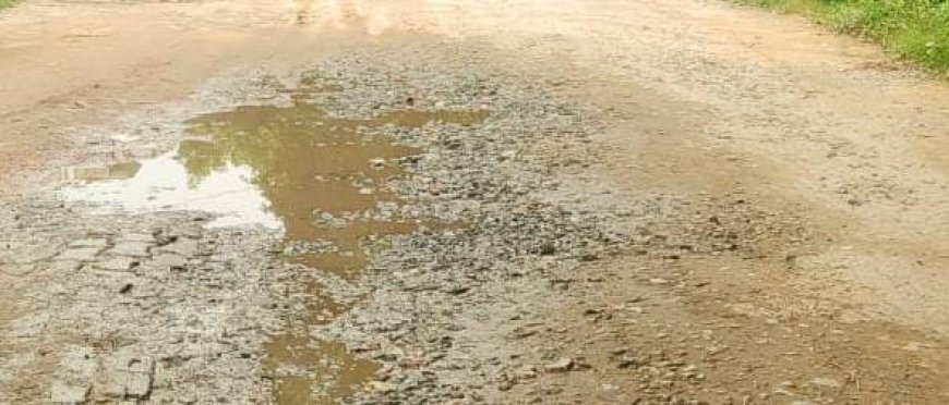 Sitapur : नगर पालिका और पीडब्ल्यूडी की लापरवाही से टूटी सड़कों पर जनता परेशान