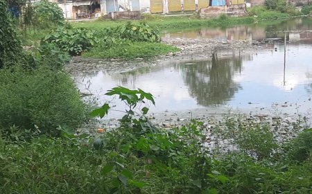 Saharanpur : कैलाशपुर का सार्वजनिक तालाब गंदगी से भरा, सौंदर्यीकरण कब होगा