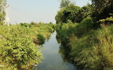 Sitapur : नहरों की सफाई में लेट लतीफी, किसानों को पलेवा के समय सिंचाई पर संकट, समय रहते सफाई न हुई तो पलावा क्षेत्र फिर रहेगा प्यासा