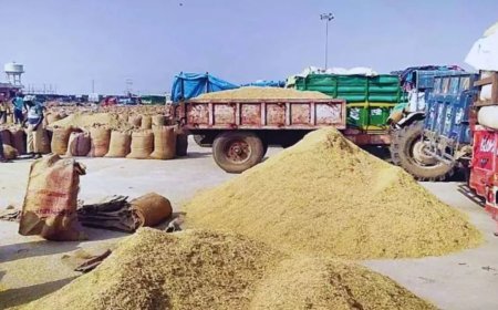 Sitapur : धान क्रय केंद्रों पर सीसीटीवी कैमरे लगवाने की मांग, भ्रष्टाचार रोकने को मुख्यमंत्री से जिलाध्यक्ष अध्यक्ष ने की अपील।