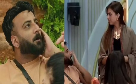 बिग बॉस 19 में 'चमचा' विवाद: फरहाना भट्ट ने शहबाज बदेशा पर भाई बनकर हमला करने का आरोप लगाया, शहबाज ने दिया जोरदार पलटवार। 