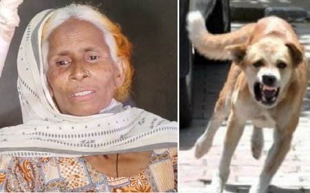 Sambhal: सम्भल में बुजुर्ग महिला पर कुत्तों का हमला, गंभीर रूप से घायल।