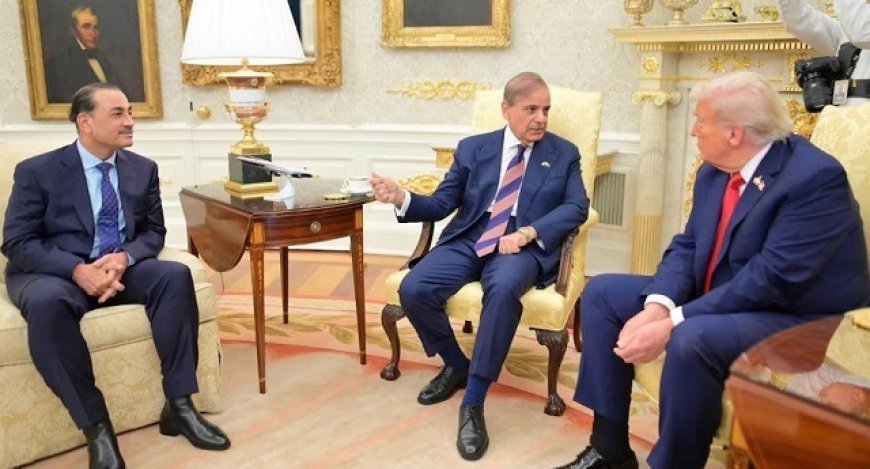 ट्रंप ने टैरिफ को बताया सबसे खूबसूरत शब्द, पाक पीएम शहबाज शरीफ और आर्मी चीफ आसिम मुनीर की तारीफ के बीच अमेरिकी नीति में बदलाव