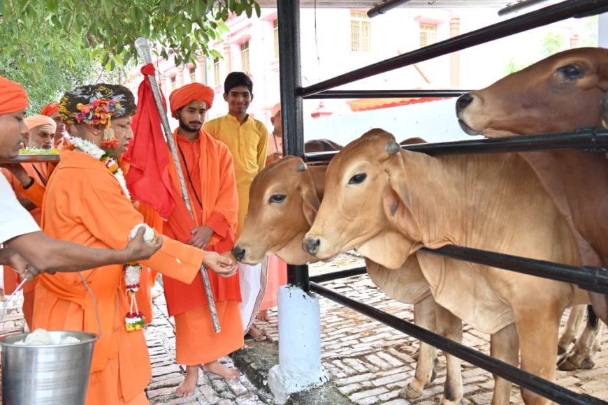 Gorakhpur : विजयदशमी पर गोपूजन कर सीएम योगी ने की गोसेवा