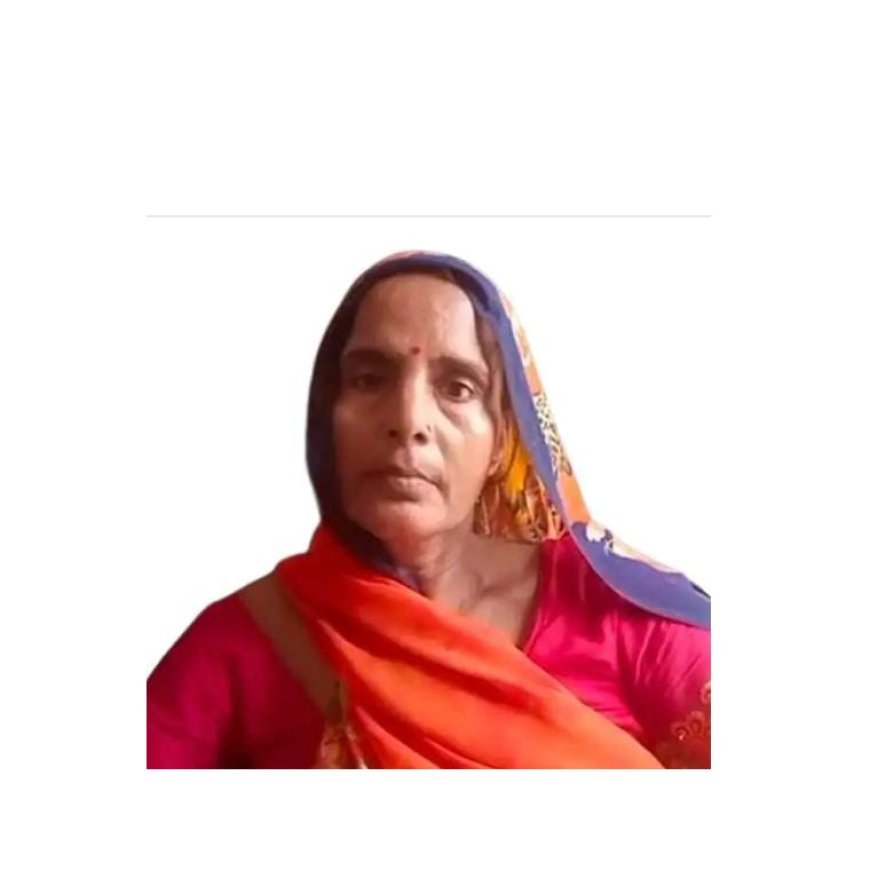 Sitapur : जंगली जानवर के हमलें से महिला की हुई गम्भीर इलाज के दौरान मौत