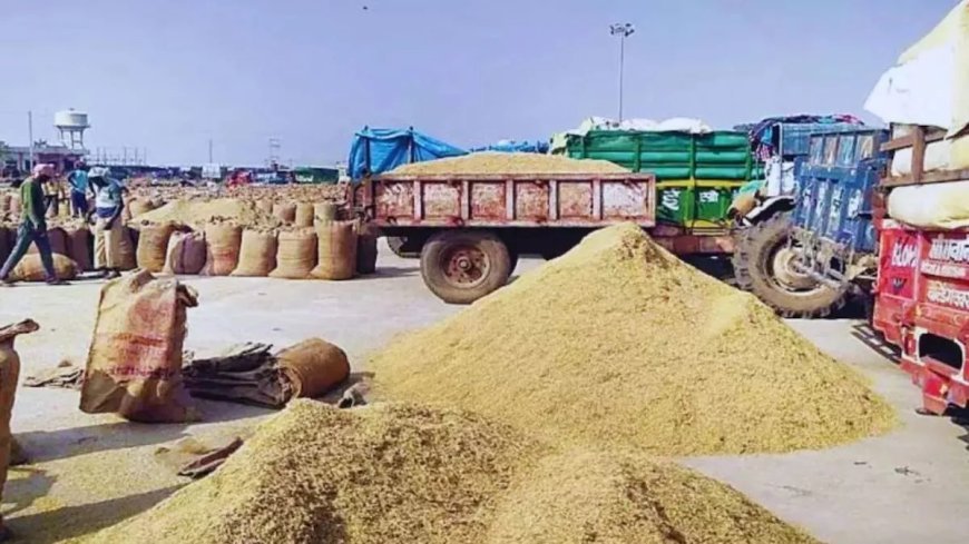 Sitapur : धान क्रय केंद्रों पर सीसीटीवी कैमरे लगवाने की मांग, भ्रष्टाचार रोकने को मुख्यमंत्री से जिलाध्यक्ष अध्यक्ष ने की अपील।