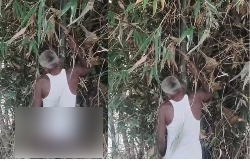 Hardoi : घरेलू कलह में अधेड़ ने लगाई फांसी, मौत, अर्धनग्न अवस्था में मिला शव