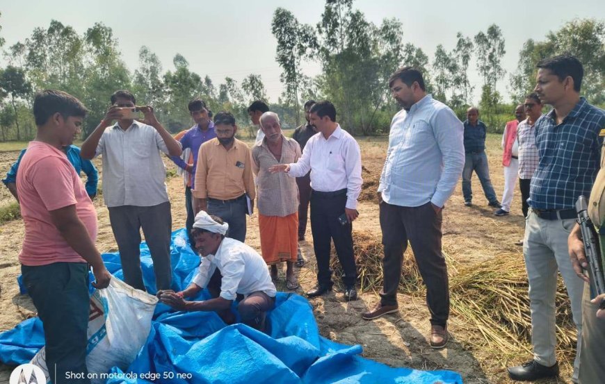 Sitapur : सीतापुर में जिलाधिकारी की निगरानी में हुई धान की फसल कटाई