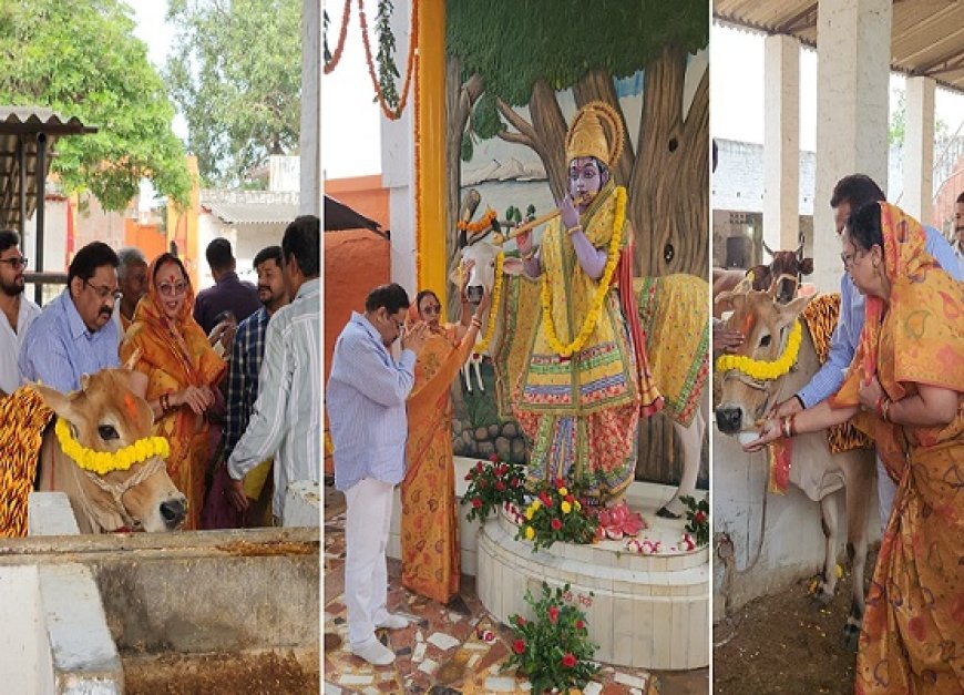 Hardoi: गोपाष्टमी पर हरदोई में गौ माता की भक्ति पूजा, जिला पंचायत अध्यक्ष व भाजपा नेता ने गोपाल गौशाला में किया चारा-गुड़ दान। 