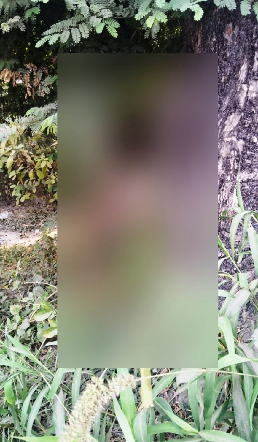 Saharanpur : पेड़ से लटका मिला युवक का शव, हत्या या आत्महत्या, रहस्य सुलझाने में जुटी पुलिस