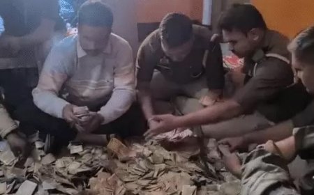 प्रतापगढ़ में ड्रग माफिया के घर से 2 करोड़ कैश और ड्रग्स की बरामदगी, गिनती में लगे 22 घंटे; जेल से चल रहा था नेटवर्क। 