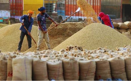 Lucknow: प्रदेश में 4,09,444 किसानों से ख़रीदा गया धान, आंकड़ा 25 लाख मीट्रिक टन के पार। 