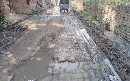 Hathras: रुदायन को नहीं मिल रही गंदगी और गड्ढों  से निजात, नलियों का पानी तैर रहा खडंजे पर निकलने वालों को परेशानी। 