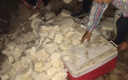 Lucknow : उत्तर प्रदेश में दूध, पनीर और खोया पर छापेमारी, 35 क्विंटल मिलावटी सामान नष्ट, 12 लाख का जब्त