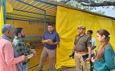 Sitapur : गौशाला में पशुओं की देखभाल को लेकर सख्त हुए जिलाधिकारी