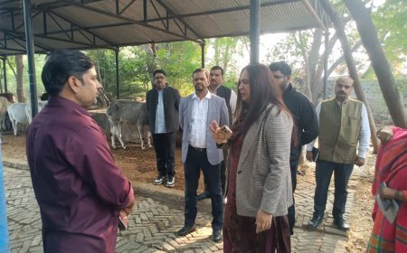 Rae Bareli : रायबरेली में गौ-आश्रय स्थल का निरीक्षण, दूध समितियों को सक्रिय करने के निर्देश