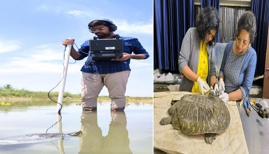 New Delhi: गंगा संरक्षण में तकनीकी क्रांति: जैव विविधता निगरानी और वेटलैंड प्रबंधन को मिला नमामि गंगे का डिजिटल कवच। 