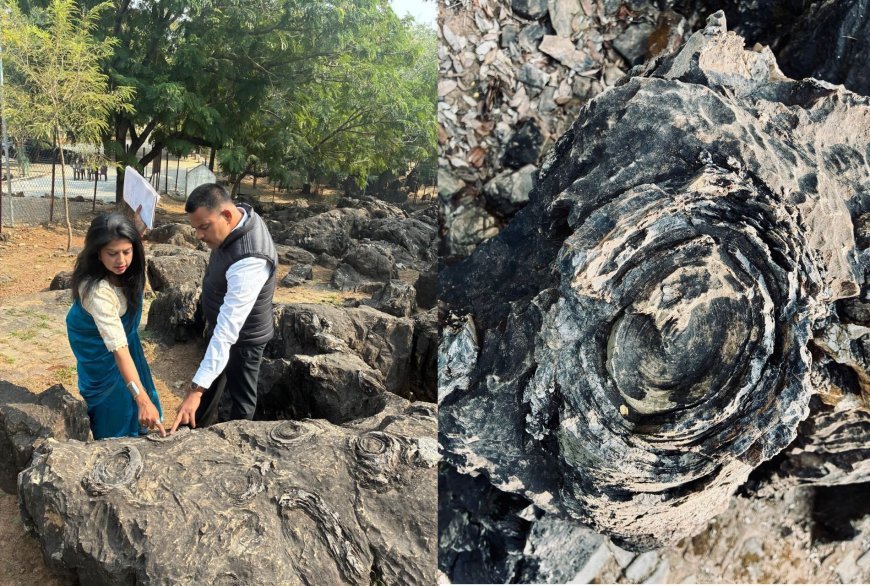 Lucknow : सलखन फॉसिल पार्क को यूनेस्को विश्व धरोहर की स्थायी सूची में शामिल कराने हेतु वैज्ञानिकों की टीम सोनभद्र पहुंची