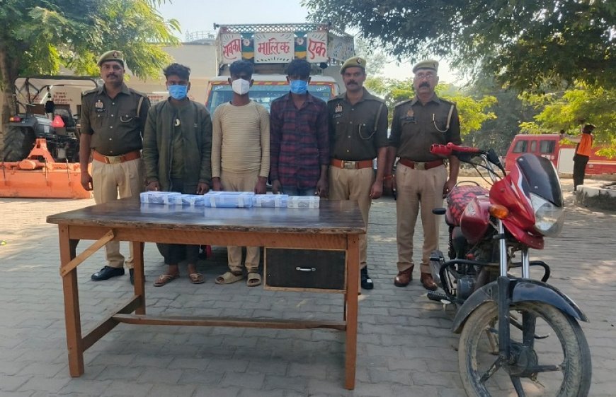 Hardoi: भैंस चोर गिरोह के तीन शातिर बदमाश गिरफ्तार,1.46 लाख नकद और चोरी में इस्तेमाल मोटरसाइकिल-पिकअप बरामद। 