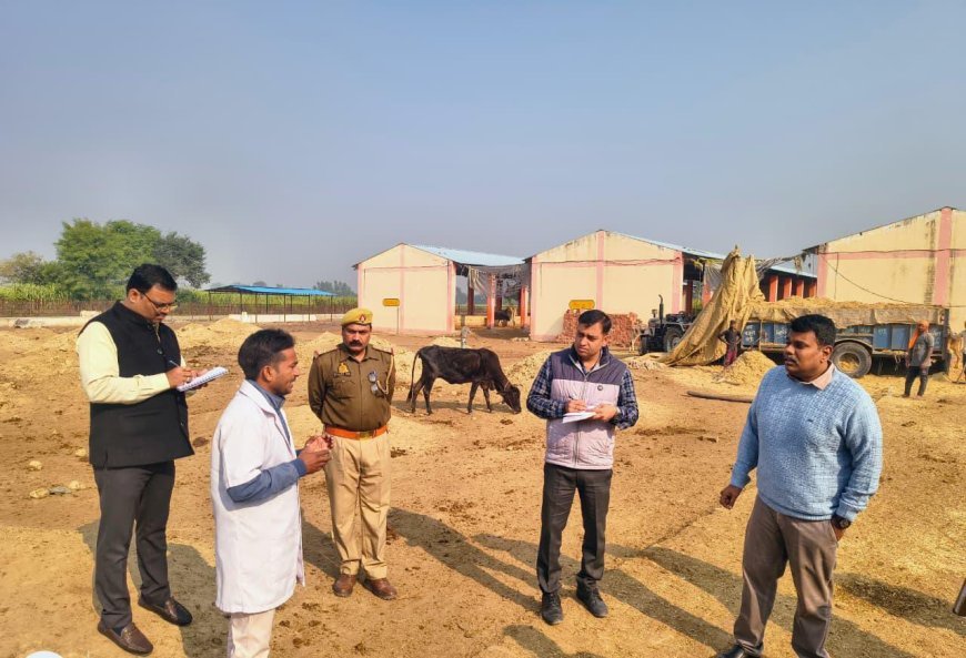 Sitapur : सीतापुर में जिलाधिकारी ने तिहार गौशाला का औचक निरीक्षण किया, कई कमियां पाईं