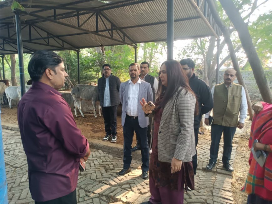 Rae Bareli : रायबरेली में गौ-आश्रय स्थल का निरीक्षण, दूध समितियों को सक्रिय करने के निर्देश