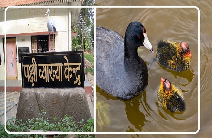 Lucknow: शहीद चंद्रशेखर आजाद पक्षी अभ्यारण्य में एआर-वीआर डोम से मिलेगा जंगल का वर्चुअल अनुभव- जयवीर सिंह