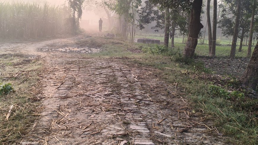 Sitapur : बारिश में टूट चुकी सड़क की कोई सुध नहीं, ग्रामीण परेशान