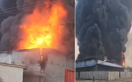 Hardoi: रामनगर की श्याम जी दोना-पत्तल फैक्ट्री में भीषण आग, इलाके में मचा हड़कंप। 