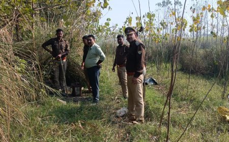 Lakhimpur- Kheri : लखीमपुर खीरी में अवैध शराब के खिलाफ बड़ी कार्रवाई, 235 लीटर शराब बरामद