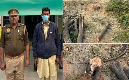 Hardoi: संडीला में हरे पेड़ों की अवैध कटाई का मामला उजागर, एक व्यक्ति गिरफ्तार, पुलिस ने बरामद की कई प्रतिबंधित पेड़ों की लकड़ी। 