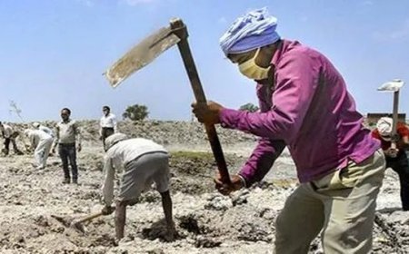 Lucknow : मनरेगा - योगी सरकार में रिकॉर्ड 48 लाख से अधिक परिवारों को रोजगार, 31 फीसदी एससी-एसटी लाभार्थी