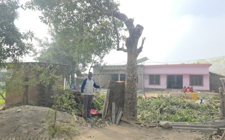 Bajpur : महोली जंगल से लकड़ी की जा रही तस्करी