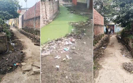 Sitapur: नैमिषारण्य तीर्थ नगरी में फैली गंदगी और नगर पालिका की उदासीनता, प्रशासन की अनदेखी से योजनाएं फेल। 