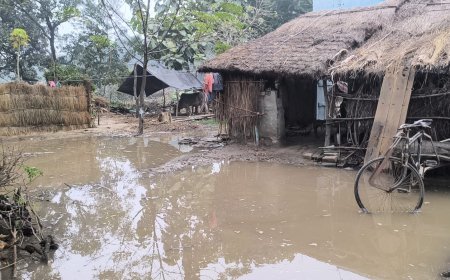 Sitapur : मिश्रिख में अर्थाना राजबहा नहर फटने से सैकड़ों बीघा फसल डूबी, गांव में पानी घुसा