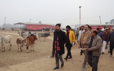 Hardoi: जिलाधिकारी अनुनय झा ने बाबा लक्ष्मण दास वृहद गौशाला अमिरता का किया निरीक्षण, व्यवस्थाओं की सराहना की। 