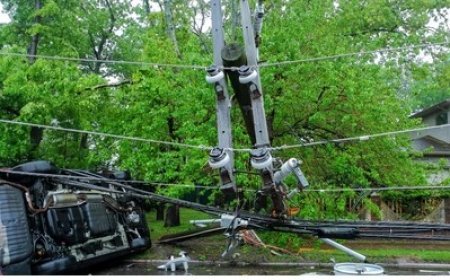 Deoband : खेड़ामुगल में पेड़ गिरने से तीन ट्रांसफार्मर सहित बिजली के खंभे गिरे, घंटों गुल रही सप्लाई