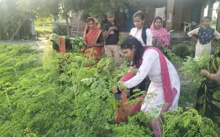 Lucknow : सीएम योगी का विजन - मोरिंगा से आत्मनिर्भर बन रहीं यूपी की बेटियां