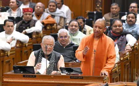 Lucknow: उत्तर प्रदेश में कृषि क्षेत्र की अभूतपूर्व प्रगति: एक्सप्रेसवे से बाजार कनेक्टिविटी, सिंचाई व ऊर्जा में राहत - सीएम योगी