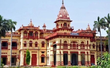 BHU स्कूल टीचिंग भर्ती 2025- प्रिंसिपल, PGT, TGT और PRT के 55 पदों के लिए आवेदन शुरू, 8वीं पास से ग्रेजुएट तक के लिए मौका, ऑनलाइन आवेदन की अंतिम तारीख 5 जनवरी 2026