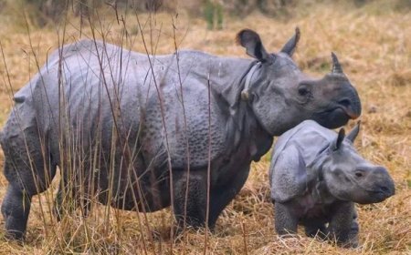 Lucknow: दुधवा-गौरीफंटा बस सेवा को मिला विस्तार, प्राकृतिक पर्यटन को मिलेगा नया बढ़ावा- जयवीर सिंह