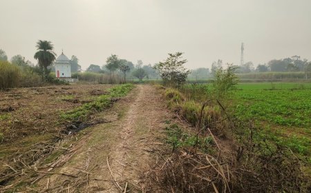 Sitapur : चक मार्ग पर अवैध कब्जे से किसानों को खेत पहुंचने में हो रही भारी मुश्किल