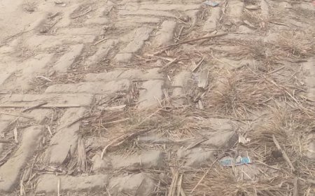 Sitapur : आजादी के बाद भी खड़ंजा सड़कों पर सफर कर रहे ग्रामीण