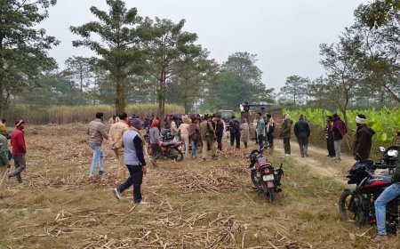 Lakhimpur : धौरहरा में तेंदुए के हमले से बुजुर्ग की मौत, अधखाया शव मिला