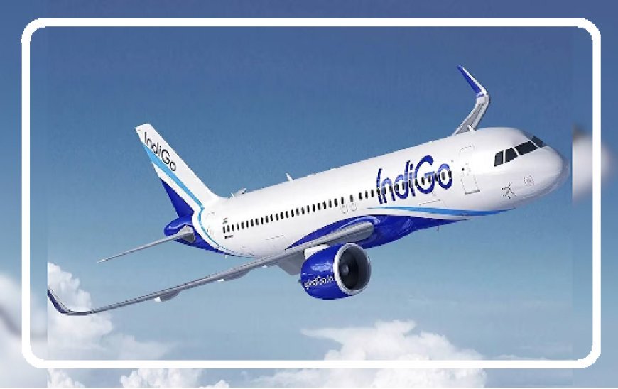 इंडिगो एयरलाइंस संकट: 550+ फ्लाइट्स रद्द,  यात्रियों का गुस्सा सातवें आसमान पर।