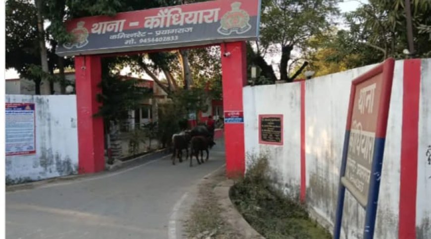 Prayagraj : मवेशियों को बांधने की जगह न मिलने से परेशान व्यक्ति थाने पहुंचा