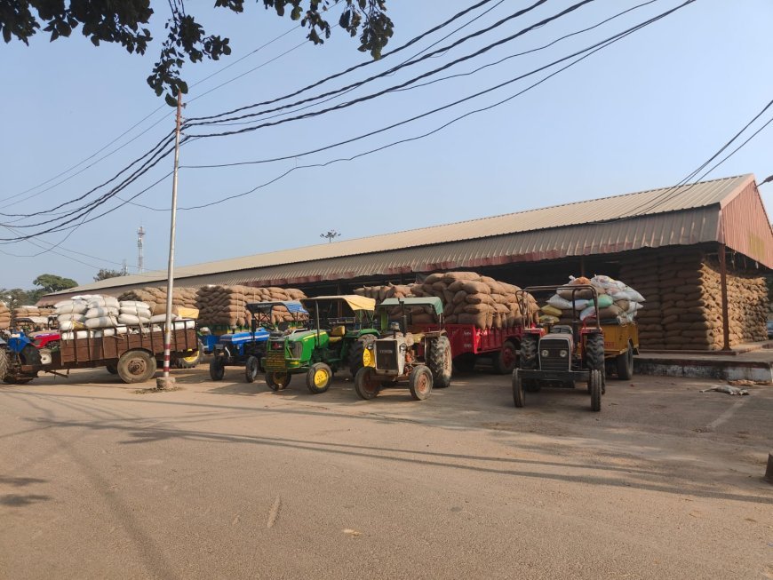 Barabanki : बाराबंकी में धान खरीद लक्ष्य के 29 प्रतिशत पर पहुंची, गुणवत्ता पर हो रहा विशेष ध्यान