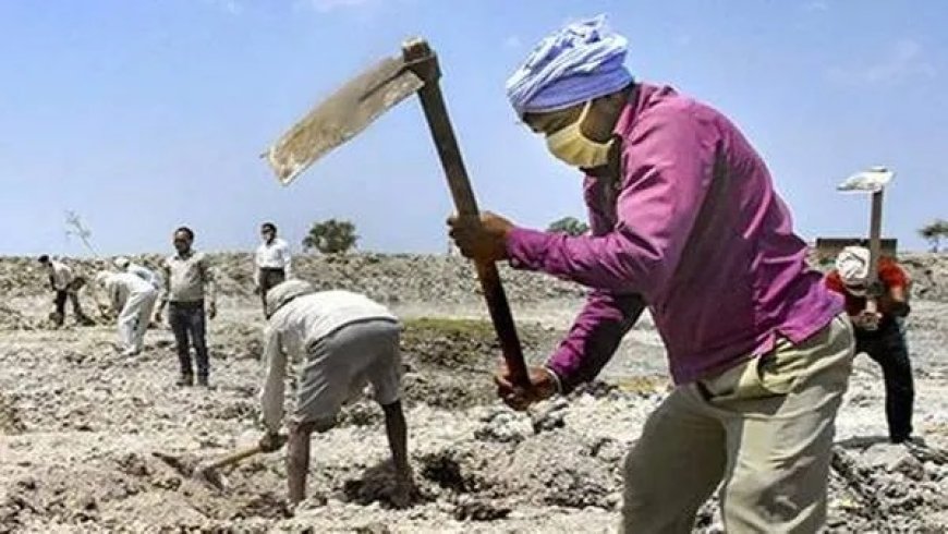 Lucknow : मनरेगा - योगी सरकार में रिकॉर्ड 48 लाख से अधिक परिवारों को रोजगार, 31 फीसदी एससी-एसटी लाभार्थी