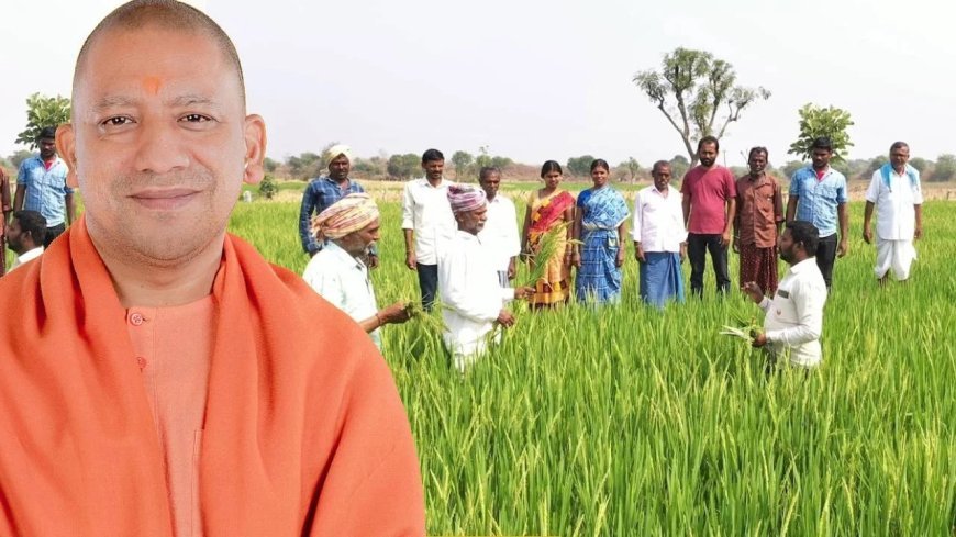 Lucknow : कृषि मंत्री ने की 'किसान पाठशाला की समीक्षा, ग्राम पंचायत स्तरीय गोष्ठी/किसान पाठशाला के सफल क्रियान्वयन हेतु महत्वपूर्ण निर्देश जारी