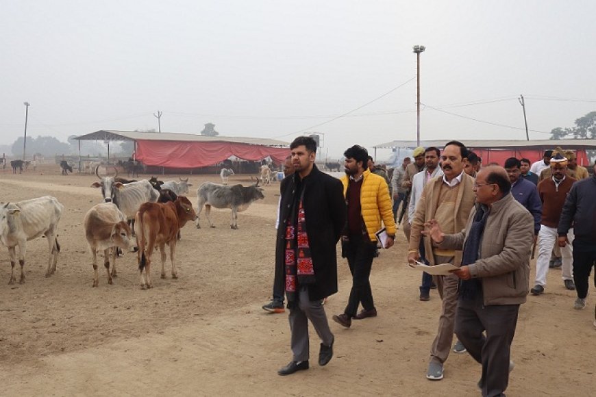 Hardoi: जिलाधिकारी अनुनय झा ने बाबा लक्ष्मण दास वृहद गौशाला अमिरता का किया निरीक्षण, व्यवस्थाओं की सराहना की। 